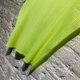 ISSEY MIYAKE PLEATS PLEASE
NEON YELLOW TOP